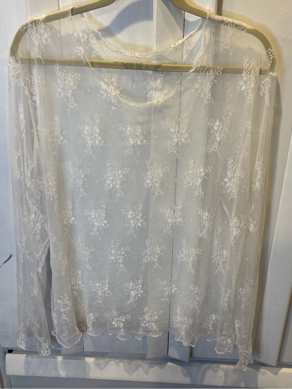 Sheer Floral Lace Long Sleeve Top - Ivory